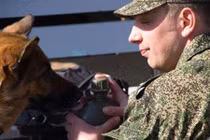 Nga: siêu máy quét mìn không thể thay chó nghiệp vụ