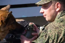 Nga: siêu máy quét mìn không thể thay chó nghiệp vụ