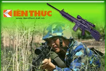 Infographic: Các sát thủ bắn tỉa của Việt Nam