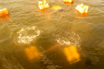 Xem bộ đội Lữ đoàn Đặc công 126 huấn luyện