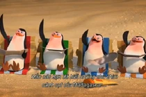 Những bí mật động trời về “Biệt đội chim cánh cụt“
