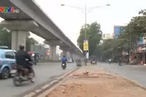 Hà Nội chặt hàng cây cổ thụ làm đường sắt trên cao