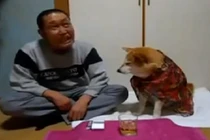 Bằng chứng về sự thông minh của loài chó