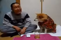 Bằng chứng về sự thông minh của loài chó