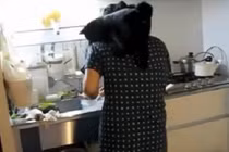 Clip: Mèo bay và cái kết bất ngờ