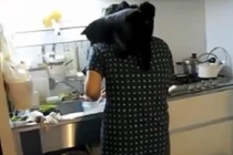 Clip: Mèo bay và cái kết bất ngờ