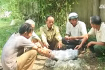 Kỳ lạ hòn đá chữa bệnh được người Hà Tĩnh sùng bái