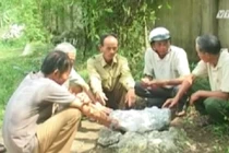 Kỳ lạ hòn đá chữa bệnh được người Hà Tĩnh sùng bái