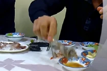 Video: Tổng thống Putin thể hiện đường quyền Karate