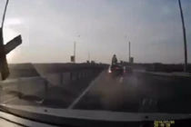 Người nhện có thật hay không?