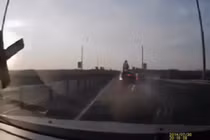 Người nhện có thật hay không?