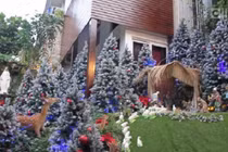 Ngắm khu vườn Giáng sinh đẹp mê hồn của Đàm Vĩnh Hưng
