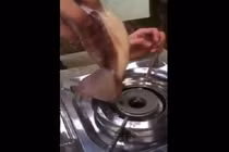 Video: Kinh hoàng mực giả Trung Quốc