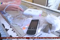 Gửi iPhone 5 qua bưu điện, nhận Nokia giá rẻ