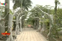 Danh hài Giang Còi và cơ ngơi khủng 10.000 mét vuông