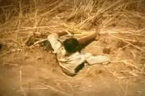 Kinh hãi câu trăn bằng chân người