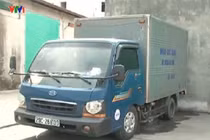 Quảng Ninh: Tiêu hủy 1,4 tấn cá nóc độc