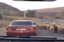 Tình huống ăn trộm siêu hài hước