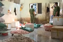 Kinh hoàng chế biến thịt bẩn tại các lò mổ