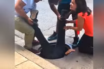 Xúc động clip thanh niên xả thân cứu động vật