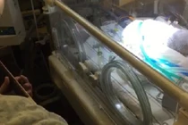 Cảm động bố đánh đàn từ biệt con đang hấp hối