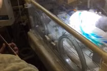 Cảm động bố đánh đàn từ biệt con đang hấp hối