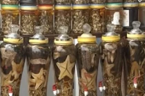 Bí kíp uống rượu không say, không hại