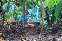 Bắt được nghi phạm sát hại cô gái trẻ rồi phi tang xác trong rẫy cà phê