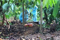 Bắt được nghi phạm sát hại cô gái trẻ rồi phi tang xác trong rẫy cà phê
