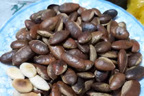 Ăn hạt Kơnia, Hà thành đua nhau mua đồ rừng đãi khách ngày Tết