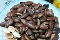 Ăn hạt Kơnia, Hà thành đua nhau mua đồ rừng đãi khách ngày Tết