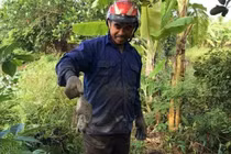 "Chuột thủ" tiết lộ kĩ nghệ săn chuột thu nửa tạ mỗi ngày