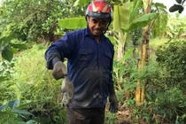 "Chuột thủ" tiết lộ kĩ nghệ săn chuột thu nửa tạ mỗi ngày