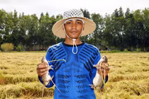 Tết về Cà Mau bắt chuột đồng, con nào con nấy thịt cả là thịt