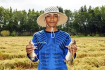 Tết về Cà Mau bắt chuột đồng, con nào con nấy thịt cả là thịt