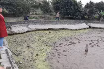 Khai quật khẩn cấp 13 cọc gỗ nghi của trận chiến thắng Bạch Đằng