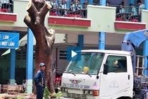 Video: Chặt cây phượng còn lại trong tai nạn khiến học sinh tử vong