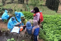 Hà Giang phong tỏa toàn bộ thị trấn Đồng Văn