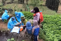 Hà Giang phong tỏa toàn bộ thị trấn Đồng Văn