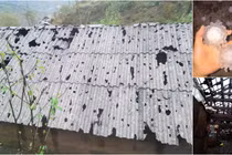 Cảnh tượng tan hoang sau cơn mưa đá khổng lồ ở Lai Châu 