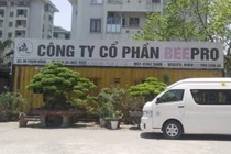 Công ty Beepro bị tố “bỏ rơi” 106 cây cổ thụ của Hà Nội: Trụ sở chỉ là thùng container 