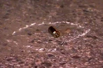 Người đàn ông đi bộ 3km đến bệnh viện sau khi bị bắn... 16 phát đạn