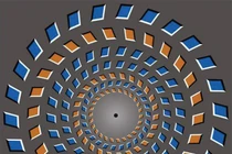 Ảo ảnh thị giác nổi tiếng thực sự khiến não "đơ"