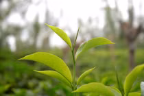 Có bí kíp này, bất chấp bệnh đổ mồ hôi tay 