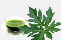 Bài thuốc quý từ dân gian cho người bị ung thư dạ dày