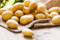 Thuốc ngủ từ thiên nhiên cho đêm không trằn trọc