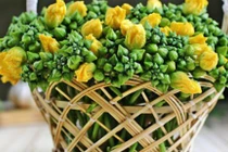 Bí quyết trị ho đơn giản, hiệu nghiệm bằng nguyên liệu mùa hè