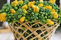 Bí quyết trị ho đơn giản, hiệu nghiệm bằng nguyên liệu mùa hè