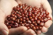 Lợi ích toàn năng bất ngờ của đậu đỏ với sức khỏe