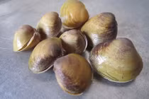 Khỏe tim mạch, ngừa thiếu máu với món ngon đưa cơm mùa hè